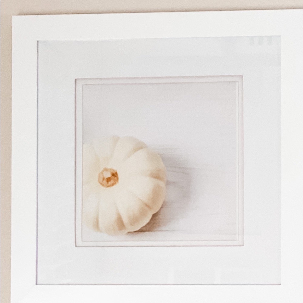 Set of 3 seasonal framed prints